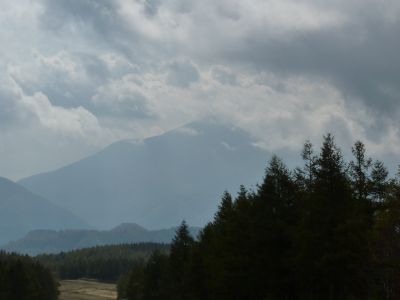 P1000095_400.jpg